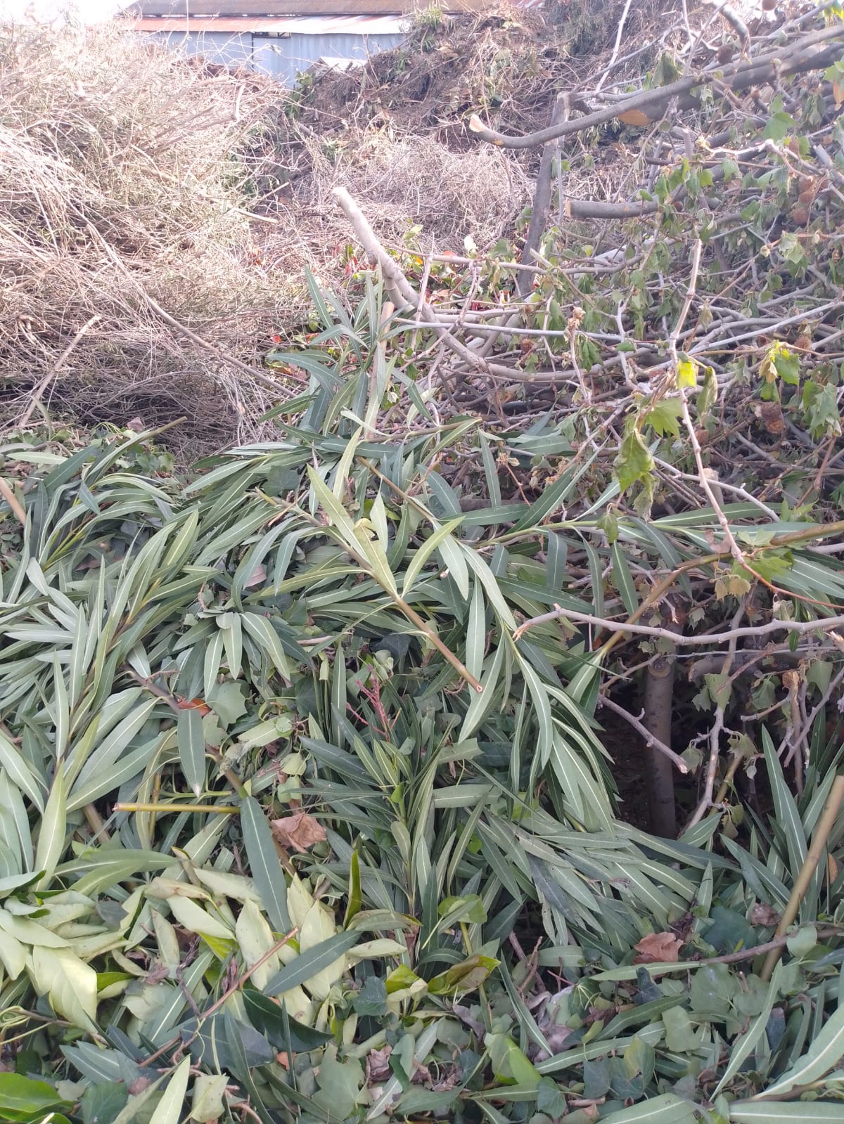 Fase di arrivo del materiale
