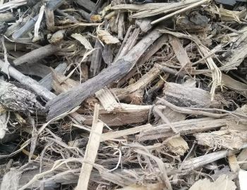 Legno Vagliato: Cos'è e Come Utilizzarlo nel Giardinaggio